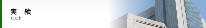 実績